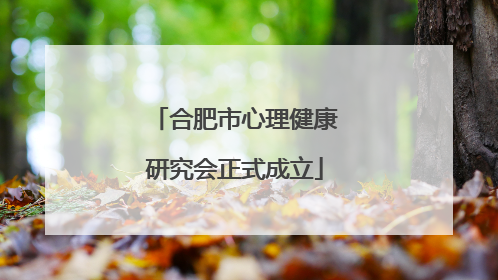 合肥市心理健康研究会正式成立