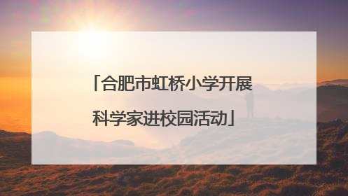 合肥市虹桥小学开展科学家进校园活动