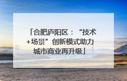 合肥庐阳区：“技术+场景”创新模式助力城市商业再升级