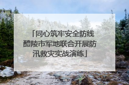 同心筑牢安全防线 醴陵市军地联合开展防汛救灾实战演练