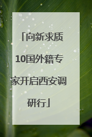 向新求质 10国外籍专家开启西安调研行