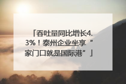 吞吐量同比增长4.3%！泰州企业坐享“家门口就是国际港”