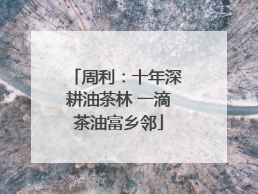 周利：十年深耕油茶林 一滴茶油富乡邻