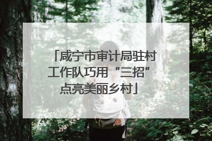 咸宁市审计局驻村工作队巧用“三招”点亮美丽乡村
