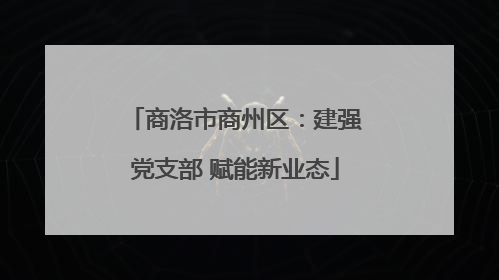 商洛市商州区：建强党支部 赋能新业态
