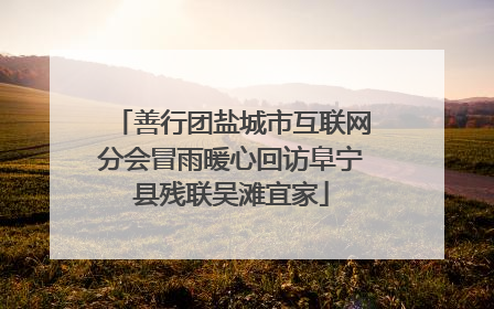 善行团盐城市互联网分会冒雨暖心回访阜宁县残联吴滩宜家