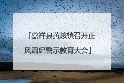 嘉祥县黄垓镇召开正风肃纪警示教育大会