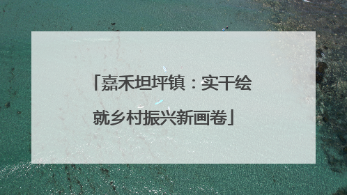 嘉禾坦坪镇：实干绘就乡村振兴新画卷