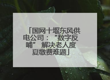国网十堰东风供电公司：“数字反哺” 解决老人度夏缴费难题
