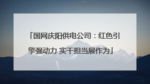 国网庆阳供电公司：红色引擎强动力 实干担当展作为