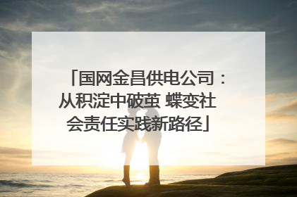 国网金昌供电公司：从积淀中破茧 蝶变社会责任实践新路径