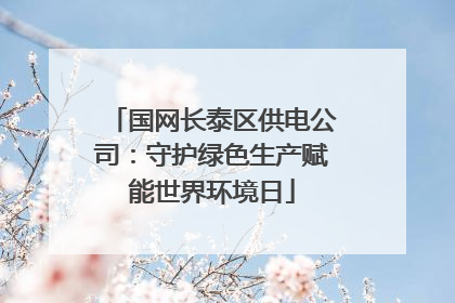 国网长泰区供电公司：守护绿色生产赋能世界环境日