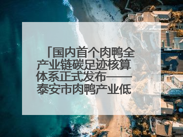 国内首个肉鸭全产业链碳足迹核算体系正式发布——泰安市肉鸭产业低碳发展标准示范项目顺利通过验收