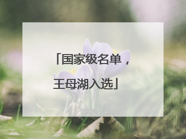 国家级名单，王母湖入选