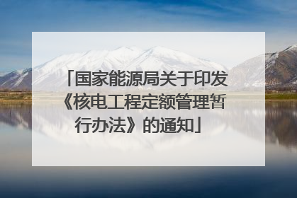国家能源局关于印发《核电工程定额管理暂行办法》的通知