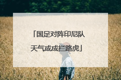 国足对阵印尼队 天气或成拦路虎