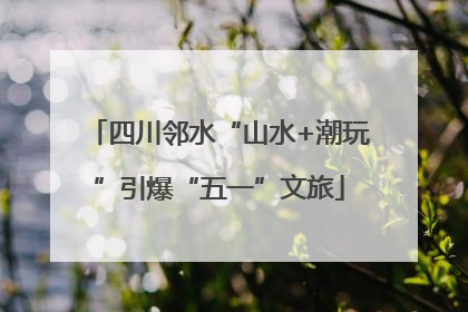 四川邻水“山水+潮玩”引爆“五一”文旅