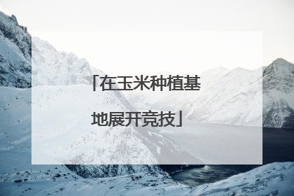在玉米种植基地展开竞技