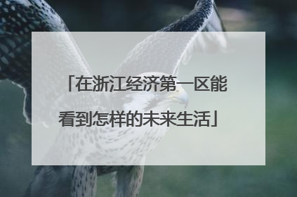 在浙江经济第一区能看到怎样的未来生活