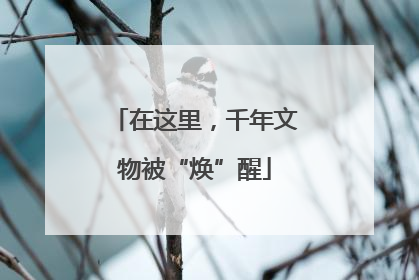 在这里，千年文物被“焕”醒