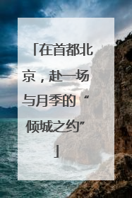 在首都北京，赴一场与月季的“倾城之约”