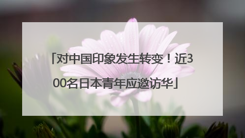 对中国印象发生转变！近300名日本青年应邀访华