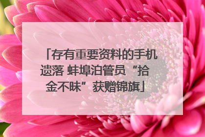 存有重要资料的手机遗落 蚌埠泊管员“拾金不昧”获赠锦旗