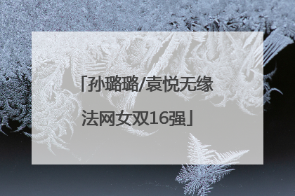 孙璐璐/袁悦无缘法网女双16强