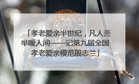 孝老爱亲半世纪，凡人善举暖人间——记第九届全国孝老爱亲模范殷志兰