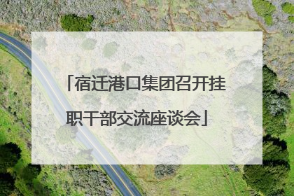 宿迁港口集团召开挂职干部交流座谈会