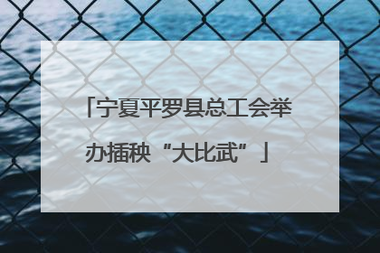 宁夏平罗县总工会举办插秧“大比武”