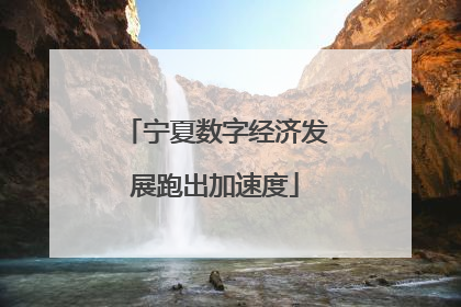宁夏数字经济发展跑出加速度