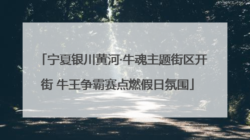 宁夏银川黄河·牛魂主题街区开街 牛王争霸赛点燃假日氛围