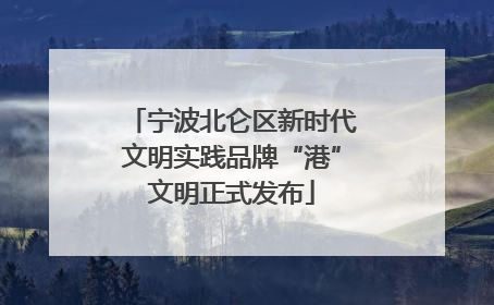 宁波北仑区新时代文明实践品牌“港”文明正式发布