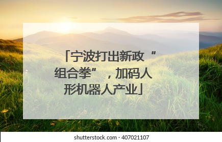 宁波打出新政“组合拳”，加码人形机器人产业