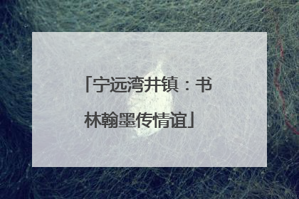 宁远湾井镇：书林翰墨传情谊