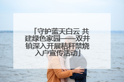 守护蓝天白云 共建绿色家园——双井镇深入开展秸秆禁烧入户宣传活动