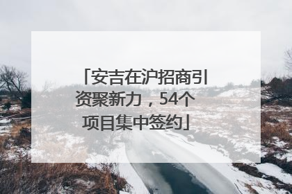 安吉在沪招商引资聚新力，54个项目集中签约
