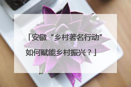 安徽“乡村著名行动”如何赋能乡村振兴？
