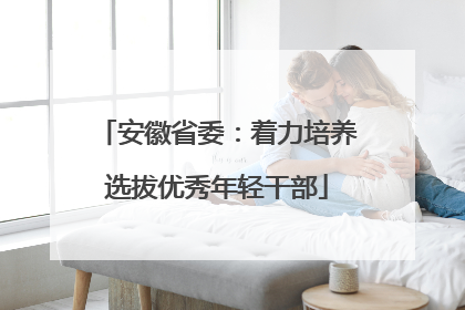 安徽省委：着力培养选拔优秀年轻干部