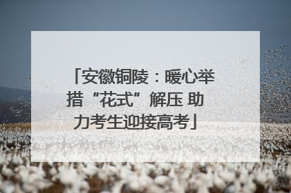 安徽铜陵：暖心举措“花式”解压 助力考生迎接高考
