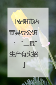 安阳市内黄县豆公镇：“三夏”生产有实招