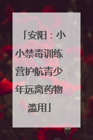 安阳：小小禁毒训练营护航青少年远离药物滥用