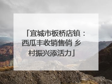 宜城市板桥店镇：西瓜丰收销售俏 乡村振兴添活力