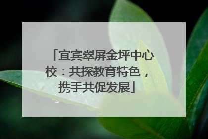 宜宾翠屏金坪中心校：共探教育特色，携手共促发展
