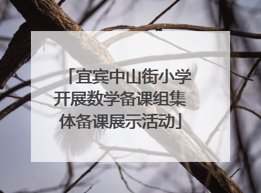 宜宾中山街小学开展数学备课组集体备课展示活动