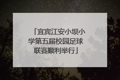 宜宾江安小坝小学第五届校园足球联赛顺利举行