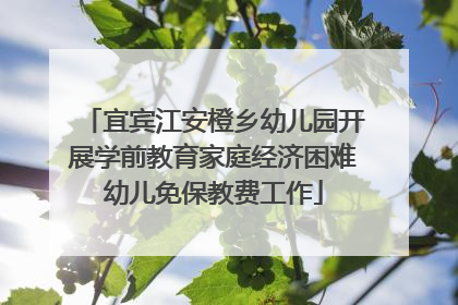 宜宾江安橙乡幼儿园开展学前教育家庭经济困难幼儿免保教费工作