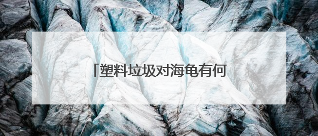 塑料垃圾对海龟有何致命伤害？世界环境日，走进开普敦海洋馆