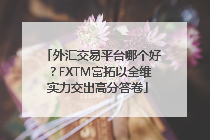 外汇交易平台哪个好？FXTM富拓以全维实力交出高分答卷